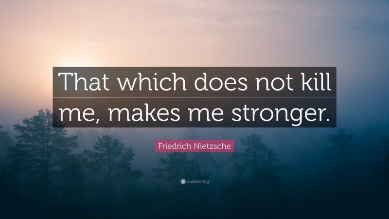 Friedrich Nietzsche Quote: “That which does not  kill me, makes me stronger.”