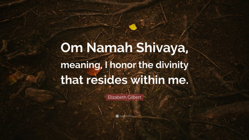 Elizabeth Gilbert Quote: “Om Namah Shivaya, meaning, I honor the divinity that resides within me.”