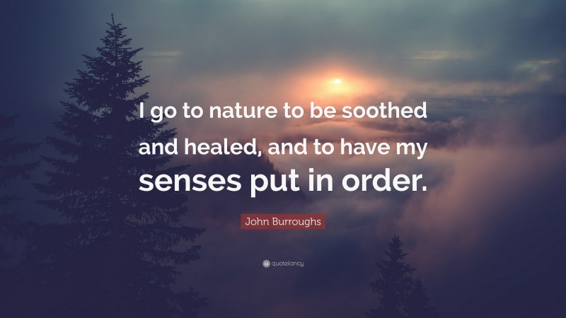 John Burroughs Quote: “I go to nature to be soothed and healed, and to have my senses put in order.”