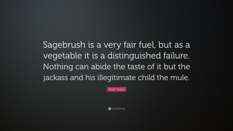 Mark Twain Quote: “Sagebrush is a very fair fuel, but as a vegetable it is a distinguished failure. Nothing can abide the taste of it but the jackass and his illegitimate child the mule.”
