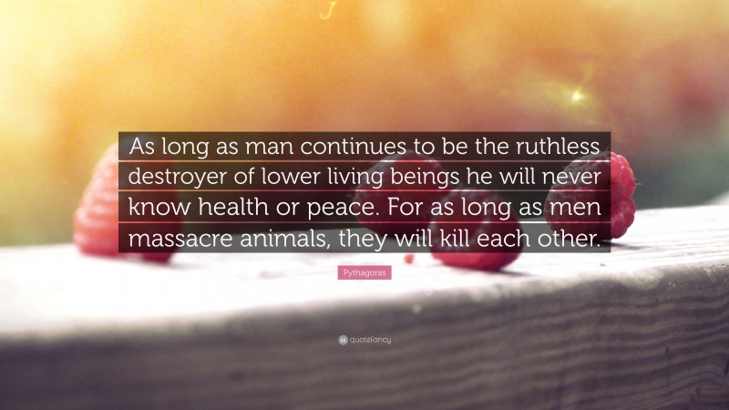 Pythagoras Quote: “As long as man continues to be the ruthless destroyer of lower living beings he will never know health or peace. For as long as men massacre animals, they will kill each other.”