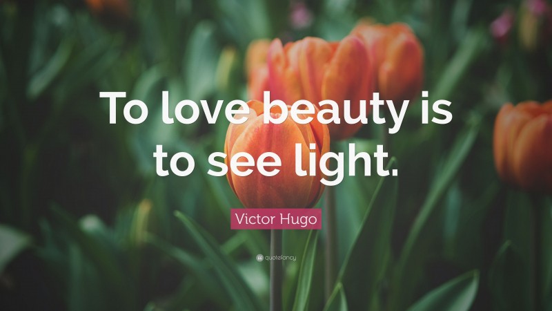 Victor Hugo Quote: “To love beauty is to see light.”