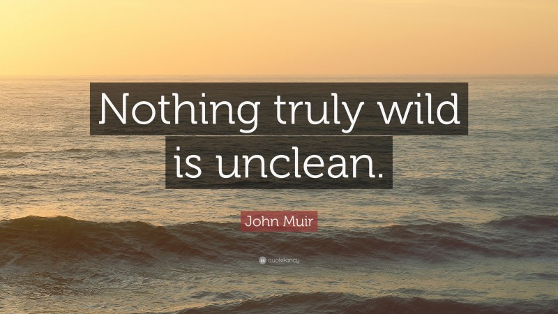 John Muir Quote: “Nothing truly wild is unclean.”