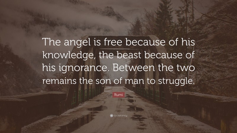 Rumi Quote: “The angel is free because of his knowledge, the beast because of his ignorance. Between the two remains the son of man to struggle.”