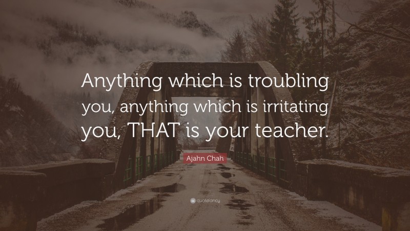 Ajahn Chah Quote: “Anything which is troubling you, anything which is ...