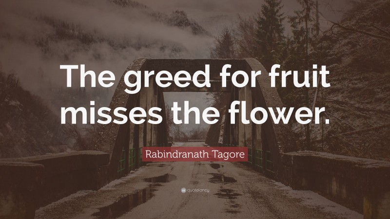 Rabindranath Tagore Quote: “The greed for fruit misses the flower.”