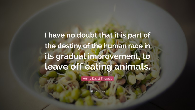 Henry David Thoreau Quote: “I have no doubt that it is part of the destiny of the human race in its gradual improvement, to leave off eating animals.”
