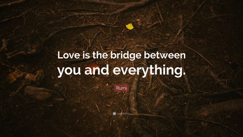 Rumi Quote: “Love is the bridge between you and everything.”