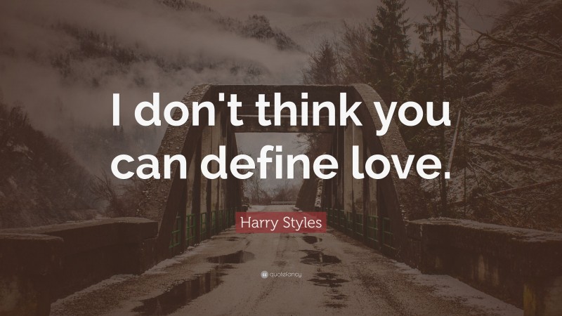 Harry Styles Quote: “I don't think you can define love.”