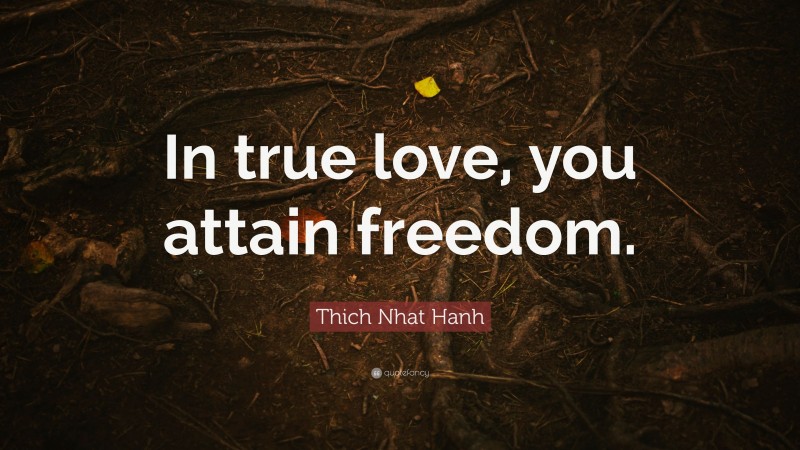 Thich Nhat Hanh Quote: “In true love, you attain freedom.”