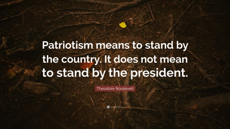 Theodore Roosevelt Quote: “Patriotism means to stand by the country. It does not mean to stand by the president.”