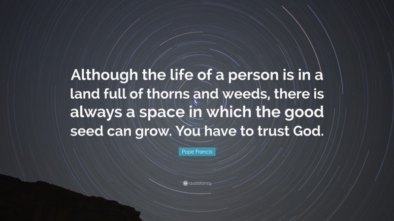 Pope Francis Quote: “Although the life of a person is in a land full of thorns and weeds, there is always a space in which the good seed can grow. You have to trust God.”