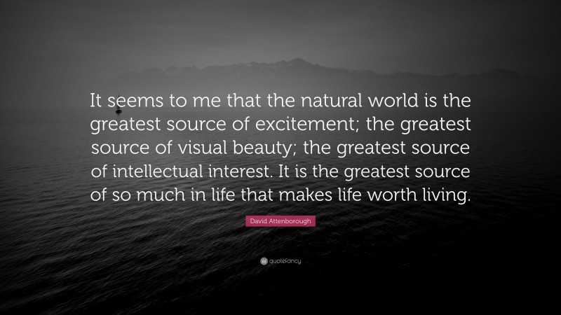 David Attenborough Quote: “It seems to me that the natural world is the greatest source of excitement; the greatest source of visual beauty; the greatest source of intellectual interest. It is the greatest source of so much in life that makes life worth living.”