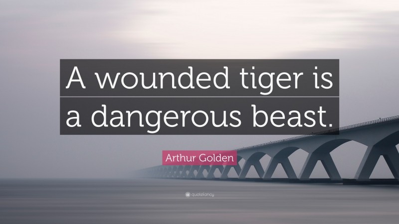 Arthur Golden Quote: “A wounded tiger is a dangerous beast.”