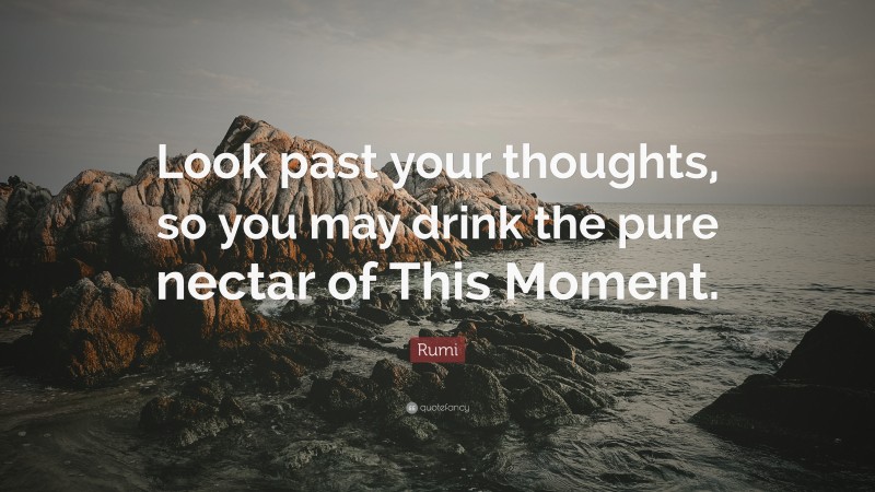 Rumi Quote: “Look past your thoughts, so you may drink the pure nectar of This Moment.”