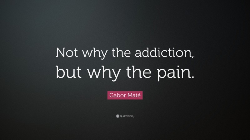 Gabor Maté Quote: “Not why the addiction, but why the pain.”