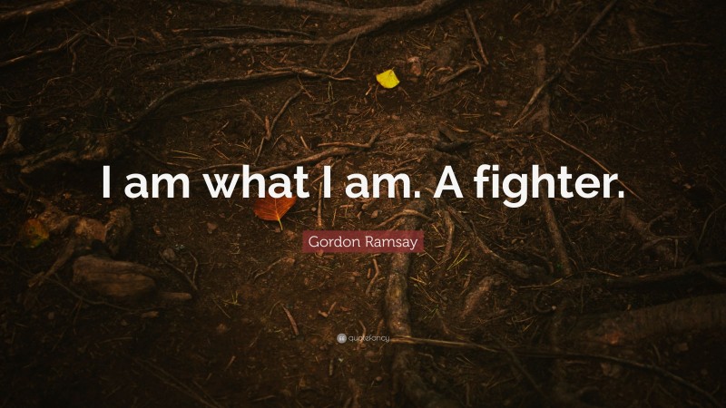 Gordon Ramsay Quote: “I am what I am. A fighter.”