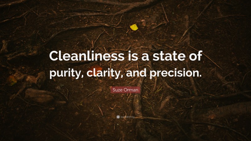 Suze Orman Quote: “Cleanliness is a state of purity, clarity, and precision.”