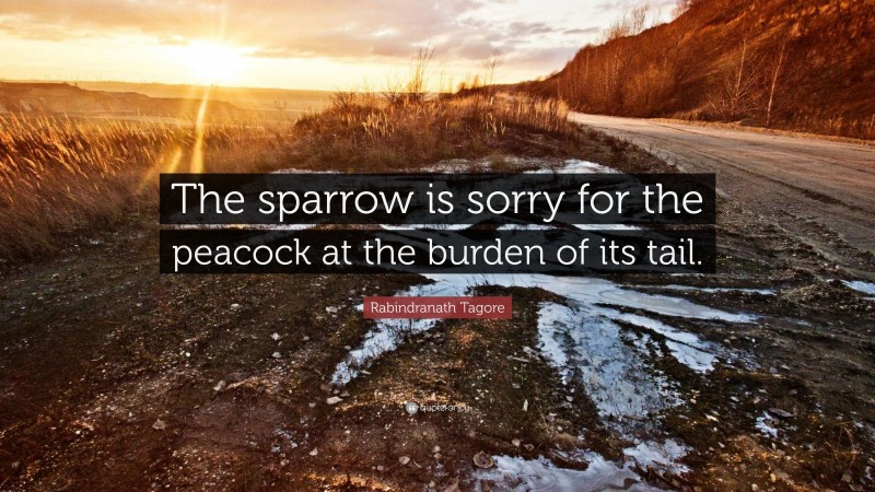Rabindranath Tagore Quote: “The sparrow is sorry for the peacock at the burden of its tail.”