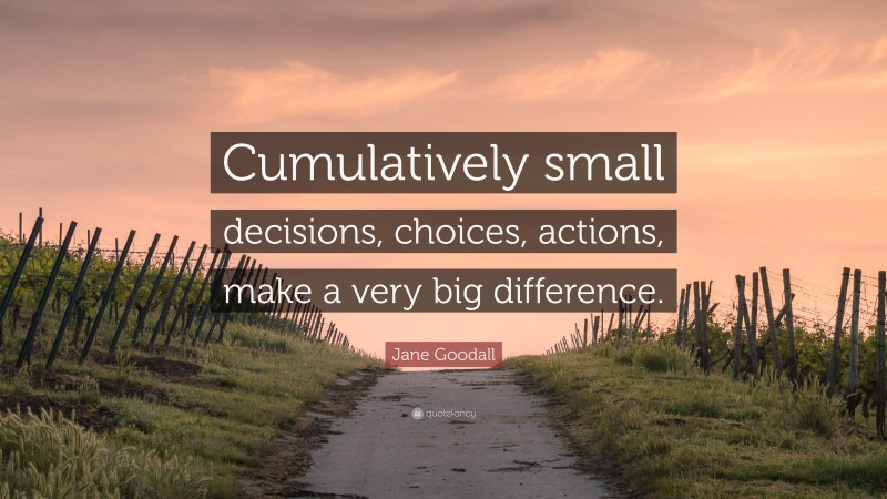 Jane Goodall Quote: “Cumulatively small decisions, choices, actions, make a very big difference.”