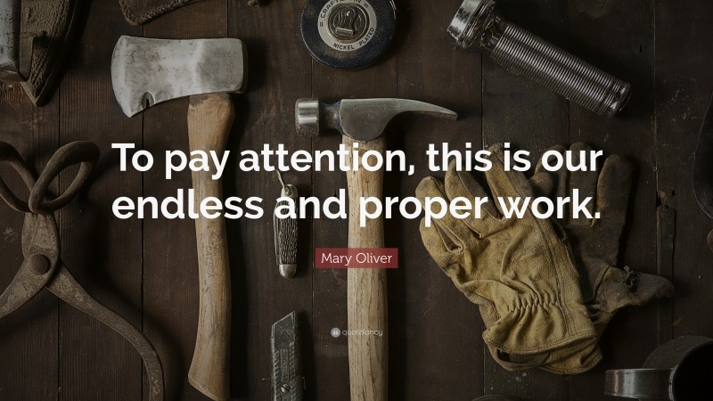 Mary Oliver Quote: “To pay attention, this is our endless and proper work.”