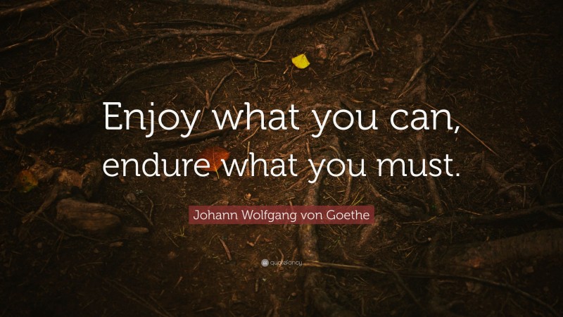 Johann Wolfgang von Goethe Quote: “Enjoy what you can, endure what you must.”