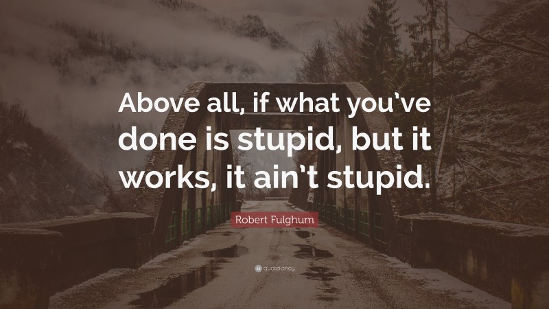 Robert Fulghum Quote: “Above all, if what you’ve done is stupid, but it works, it ain’t stupid.”