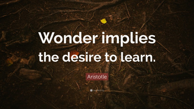 Aristotle Quote: “Wonder implies the desire to learn.”