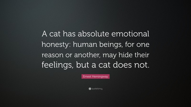 Ernest Hemingway Quote: “A cat has absolute emotional honesty: human ...