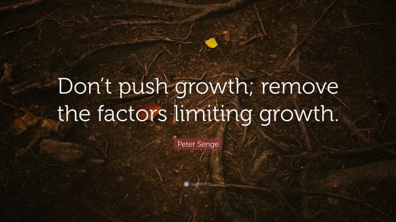 Peter Senge Quote: “Don’t push growth; remove the factors limiting growth.”