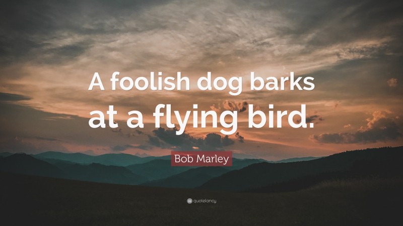 Bob Marley Quote: “A foolish dog barks at a flying bird.”