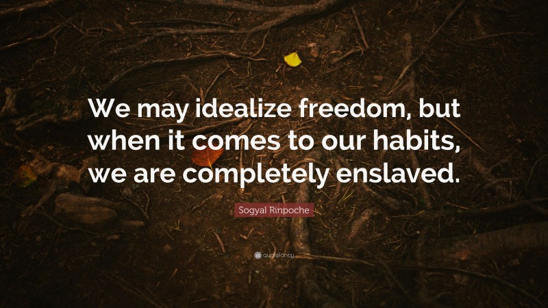Sogyal Rinpoche Quote: “We may idealize freedom, but when it comes to our habits, we are completely enslaved.”