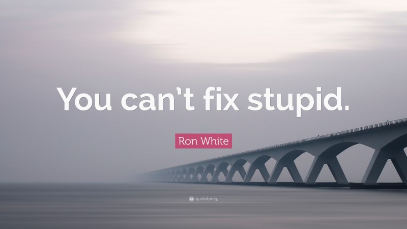 Ron White Quote: “You can’t fix stupid.”