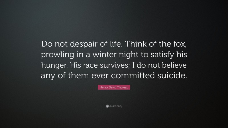 Henry David Thoreau Quote: “Do not despair of life. Think of the fox, prowling in a winter night to satisfy his hunger. His race survives; I do not believe any of them ever committed suicide.”