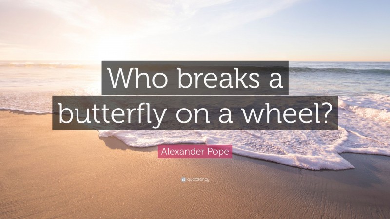 Alexander Pope Quote: “Who breaks a butterfly on a wheel?”