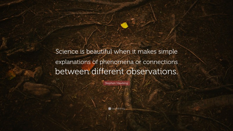 Stephen Hawking Quote: “Science is beautiful when it makes simple explanations of phenomena or connections between different observations.”