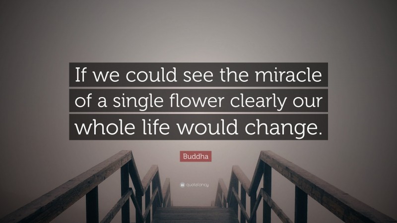 Buddha Quote: “If we could see the miracle of a single flower clearly our whole life would change.”