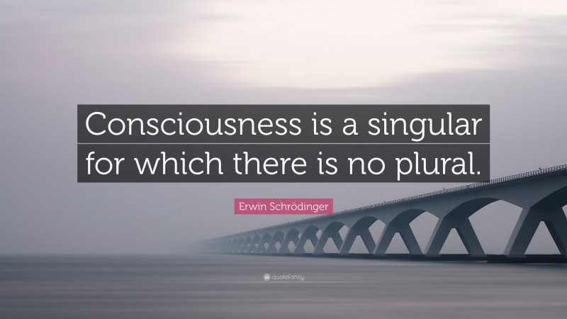 Erwin Schrödinger Quote: “Consciousness is a singular for which there is no plural.”