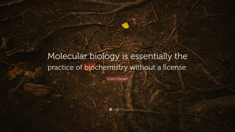 Erwin Chargaff Quote: “Molecular biology is essentially the practice of biochemistry without a license.”