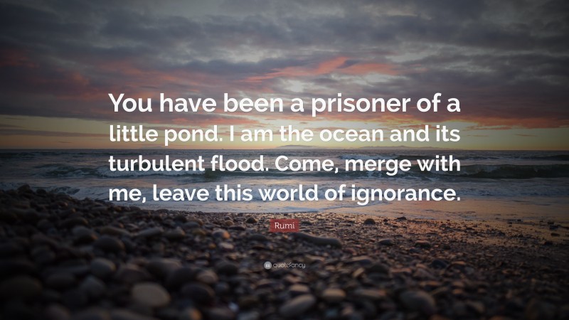 Rumi Quote: “You have been a prisoner of a little pond. I am the ocean and its turbulent flood. Come, merge with me, leave this world of ignorance.”