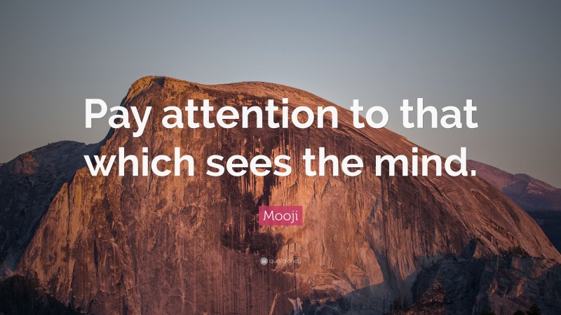 Mooji Quote: “Pay attention to that which sees the mind.”