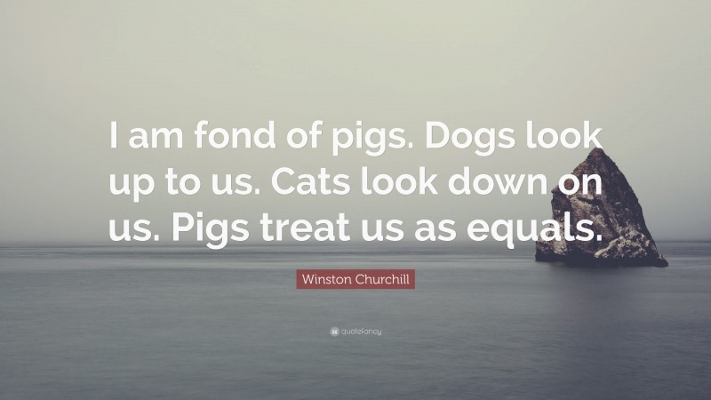 Winston Churchill Quote: “I am fond of pigs. Dogs look up to us. Cats look down on us. Pigs treat us as equals.”