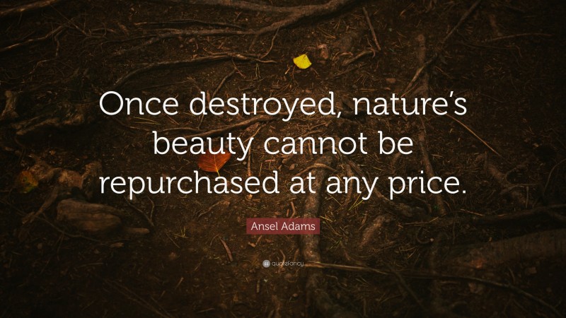 Ansel Adams Quote: “Once destroyed, nature’s beauty cannot be repurchased at any price.”