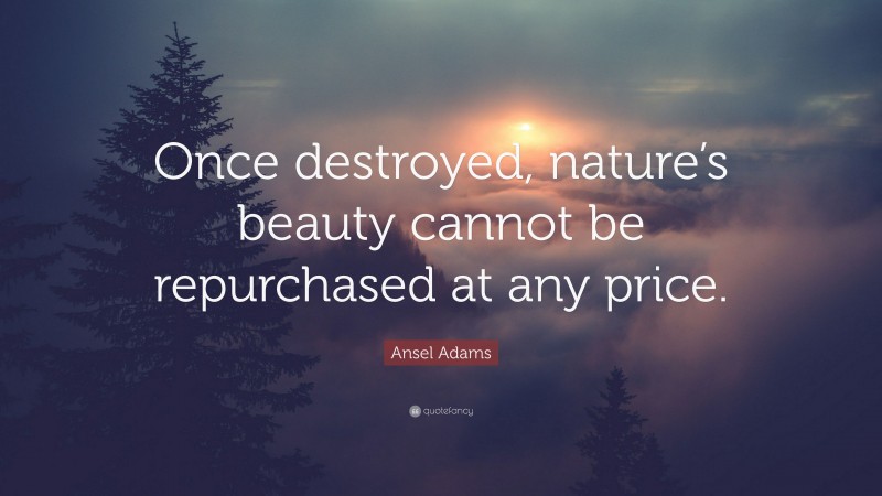 Ansel Adams Quote: “Once destroyed, nature’s beauty cannot be repurchased at any price.”