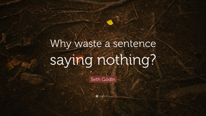 Seth Godin Quote: “Why waste a sentence saying nothing?”