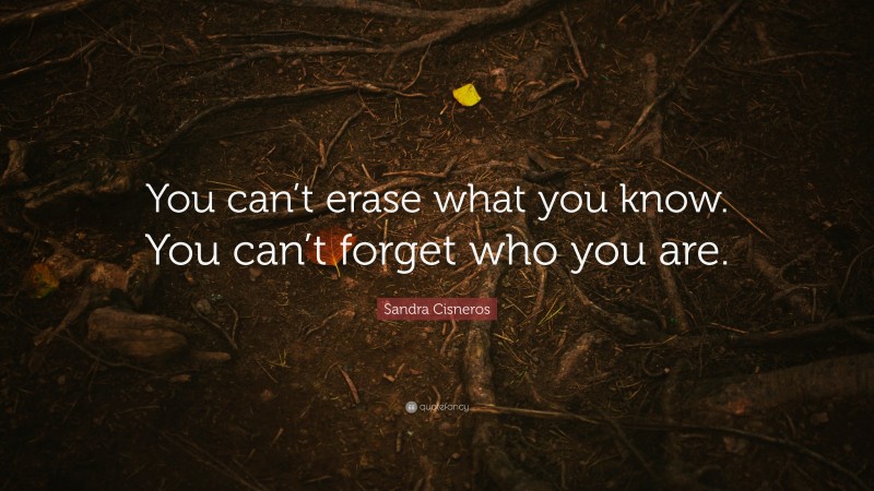 Sandra Cisneros Quote: “You can’t erase what you know. You can’t forget who you are.”