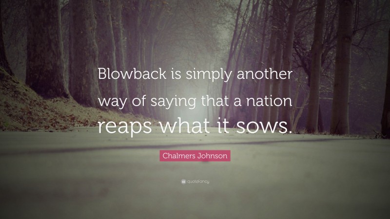 Chalmers Johnson Quote: “Blowback is simply another way of saying that a nation reaps what it sows.”