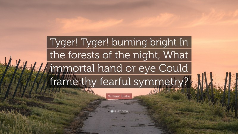 William Blake Quote: “Tyger! Tyger! burning bright In the forests of the night, What immortal hand or eye Could frame thy fearful symmetry?”