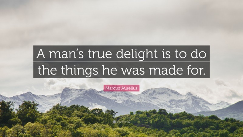 Marcus Aurelius Quote: “A man’s true delight is to do the things he was made for.”