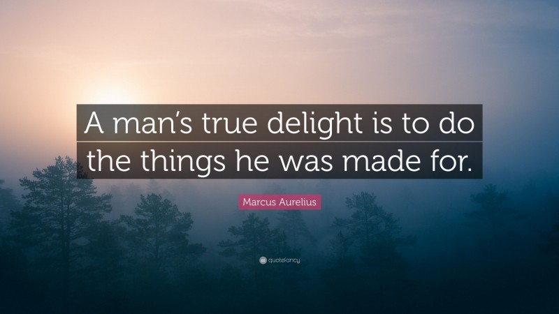 Marcus Aurelius Quote: “A man’s true delight is to do the things he was made for.”